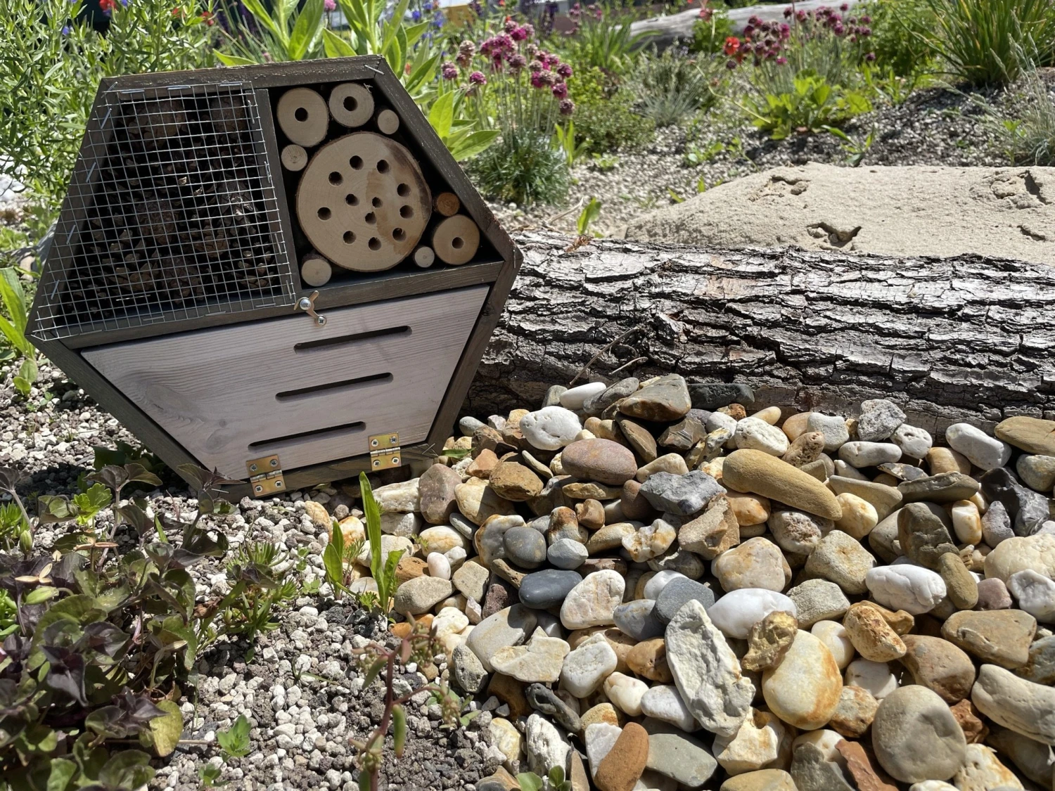 Daktuin Beezzz 'n Bio Daktuinpakket - Image 2