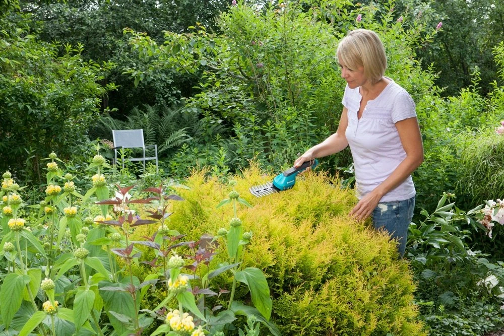 GARDENA Accu Gras- En Buxusschaar Set Accucut Li - Image 3