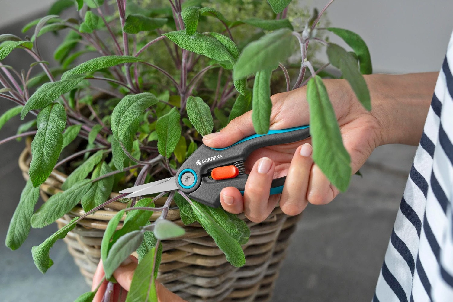 GARDENA FreshCut - Image 4