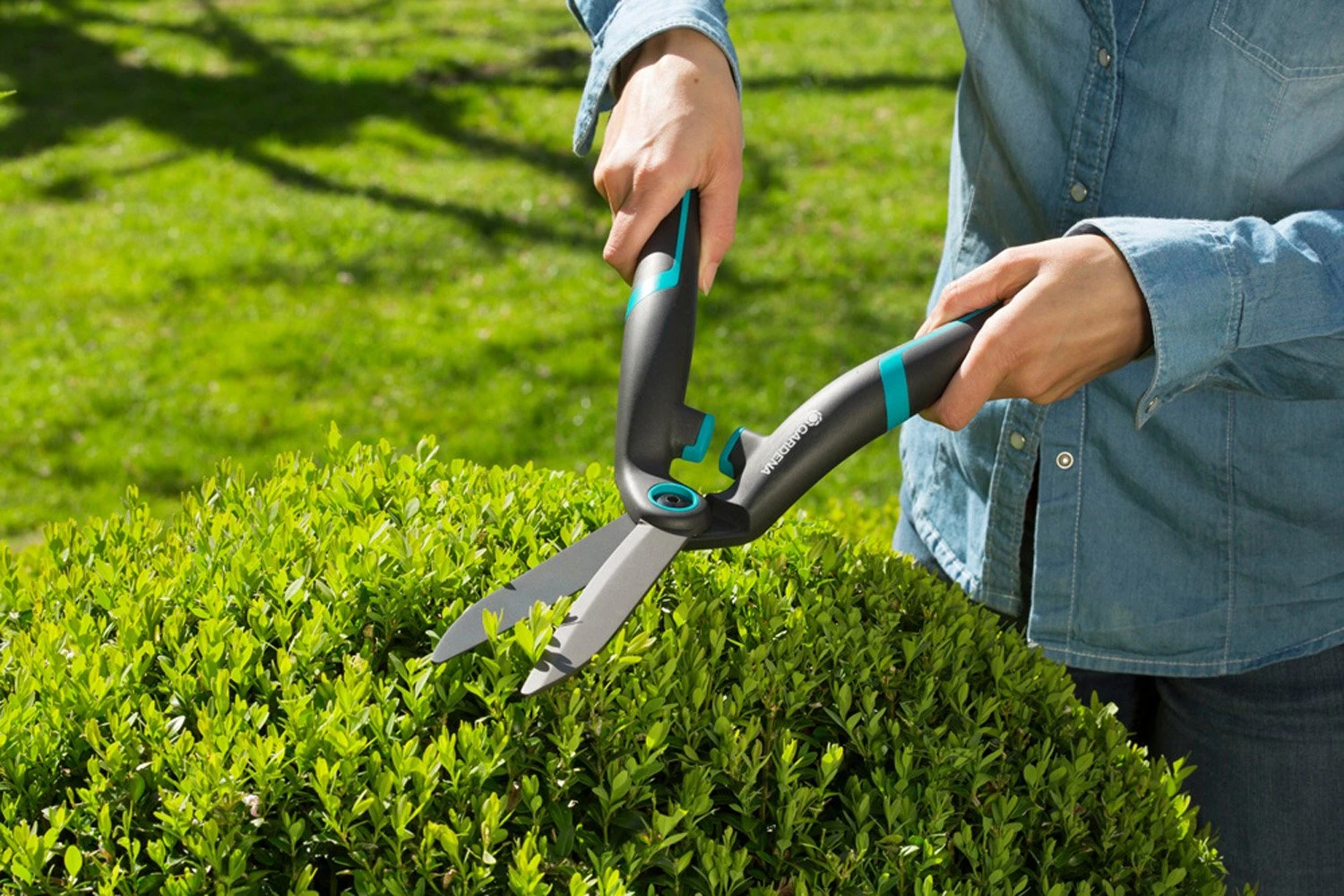 GARDENA PrecisionCut Buxusschaar - Image 3