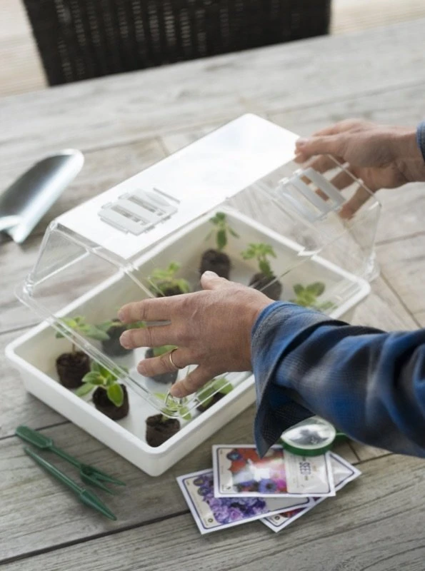 Nature Deksel Voor Kweekbak 55x31cm - Image 3