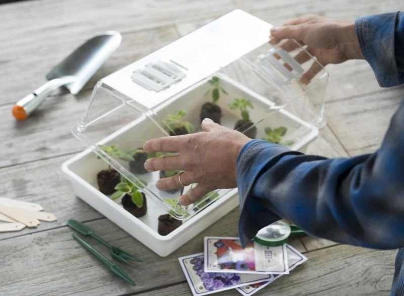 Nature Deksel Voor Kweekbak 55x31cm - Image 4