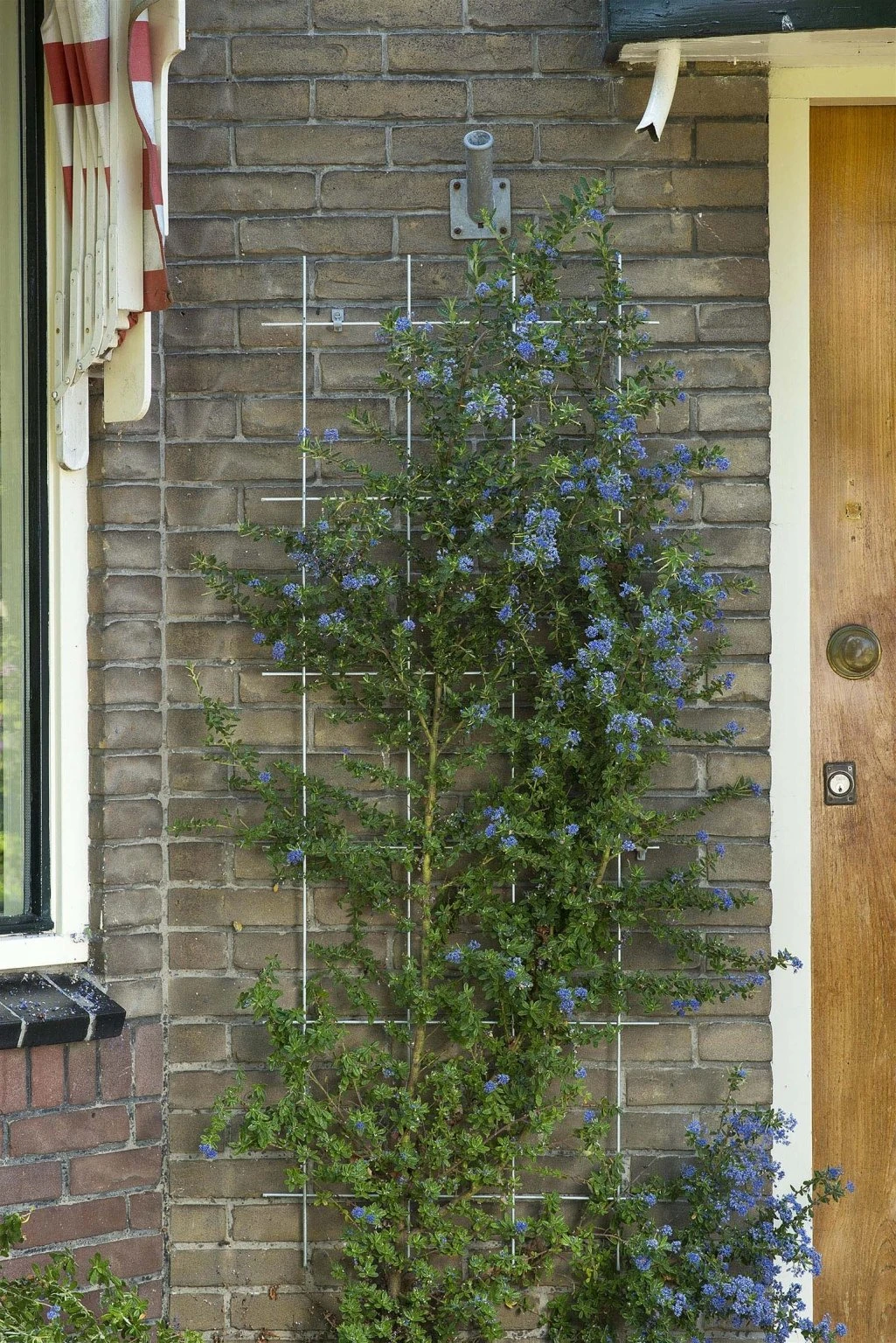 Nature Metalen Klimrek Groen - H145x57cm - Image 2