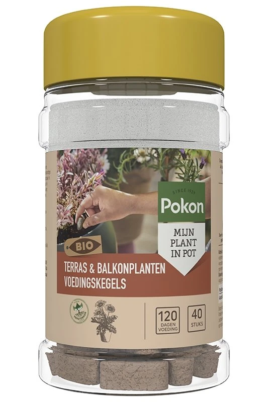 Pokon Bio Terras & Balkon Planten Voedingskegels 40 Stuks