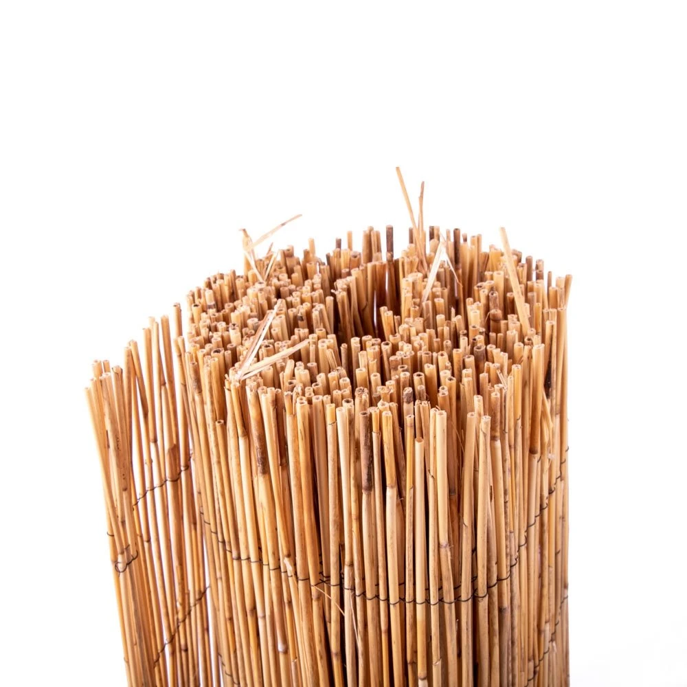 Rietmat - 500 X 100 Cm - Image 2