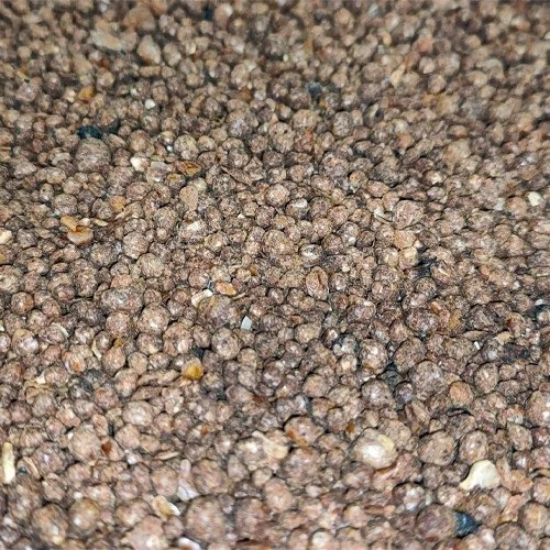 Sedumdak Mestkorrels 3,2KG Voor Daktuin - Image 2