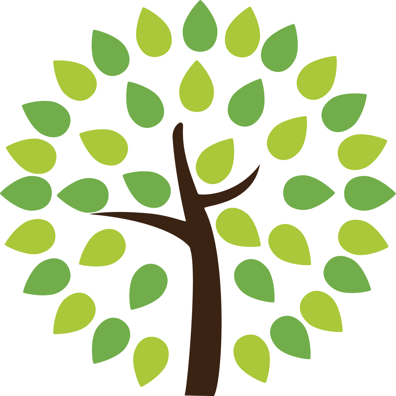 Exporteren Groene Parijs Winkel